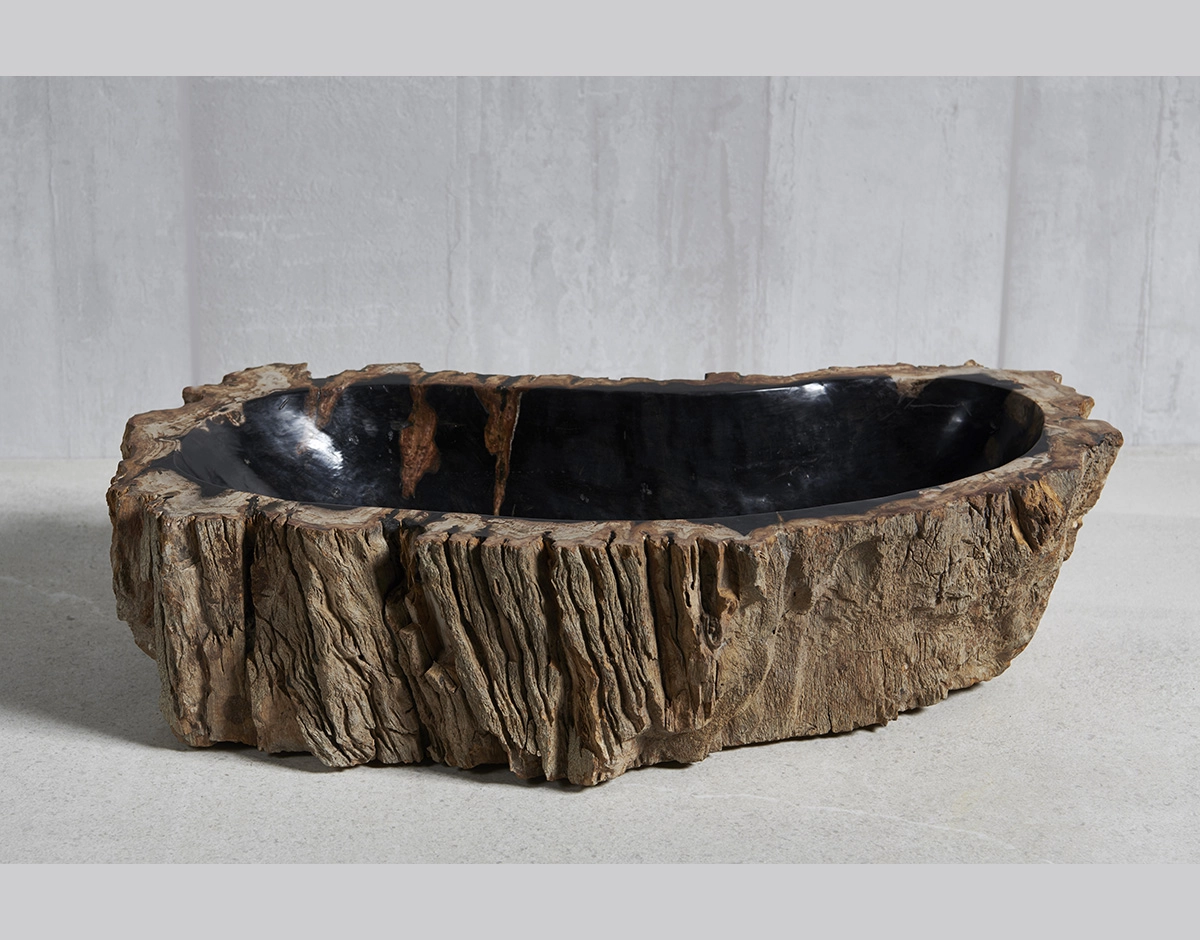 Раковина из окаменелого дерева 60х31х15