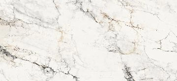 AE PAO6 260 LP 120х260