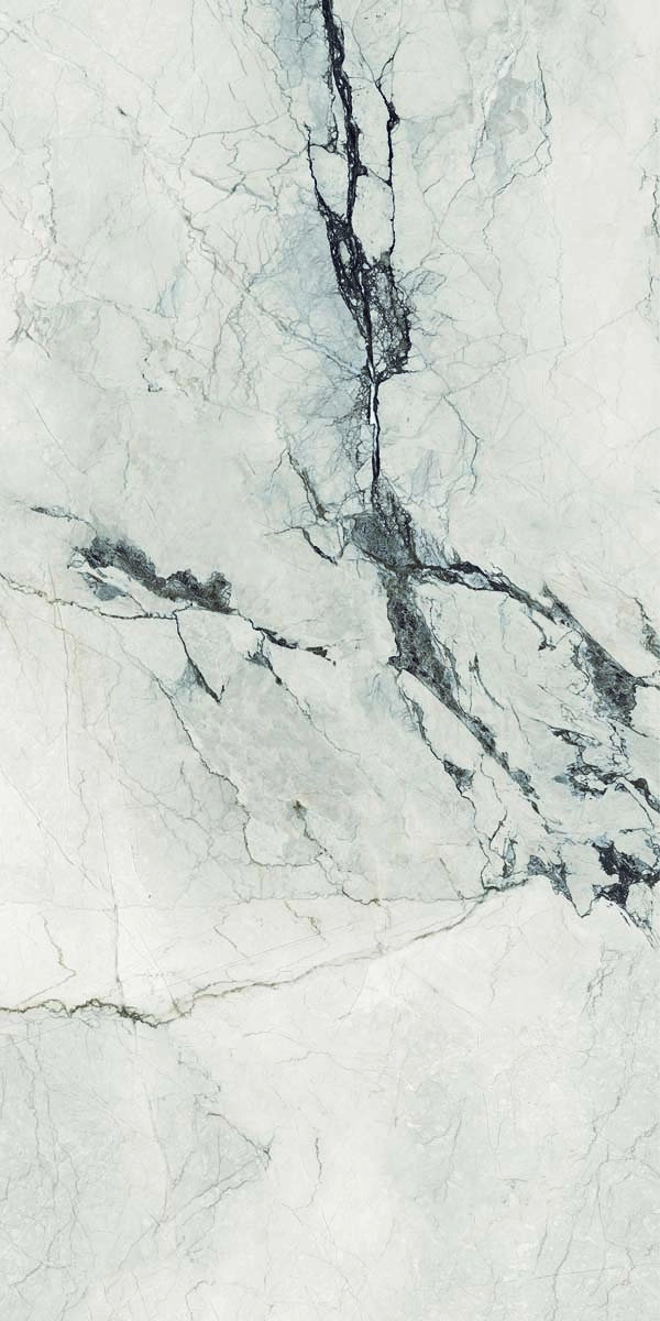 AE CAM6 12 LP 60x120