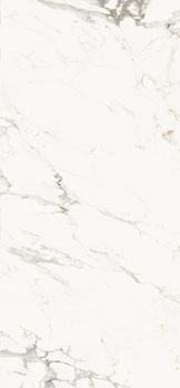 AE CAP6 278 LP 120x278