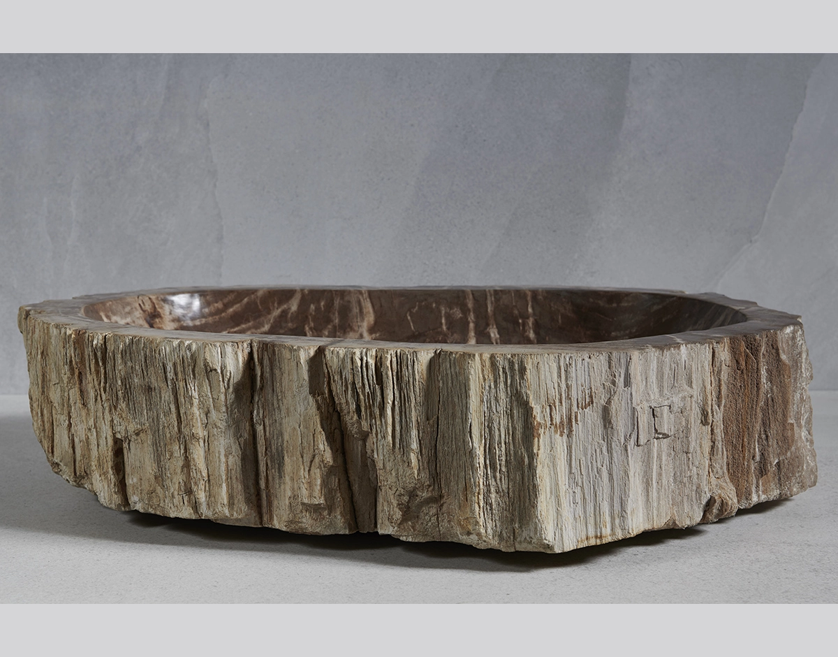 Раковина из окаменелого дерева 68x47x15