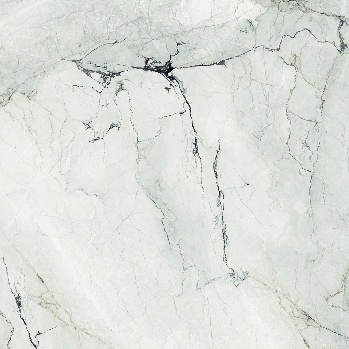 AE CAM6 120 LP 120x120