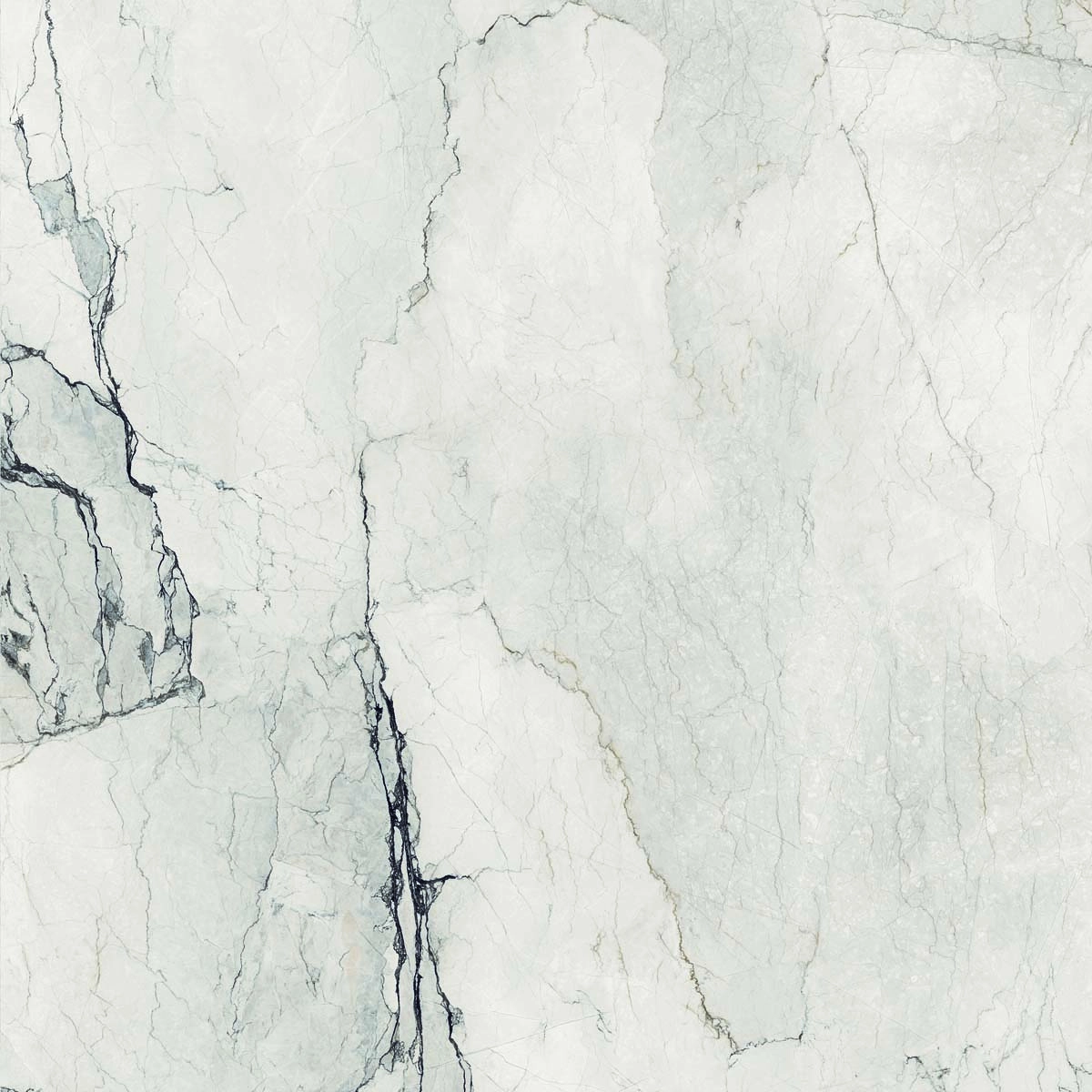 AE CAM6 120 LP 120x120