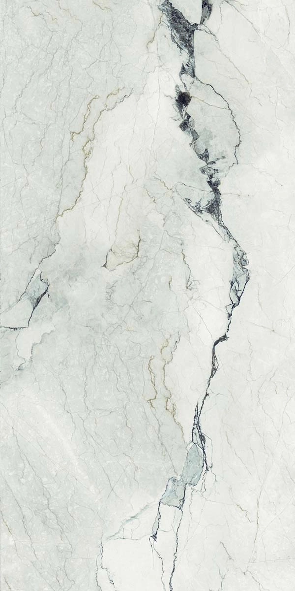 AE CAM6 12 LP 60x120