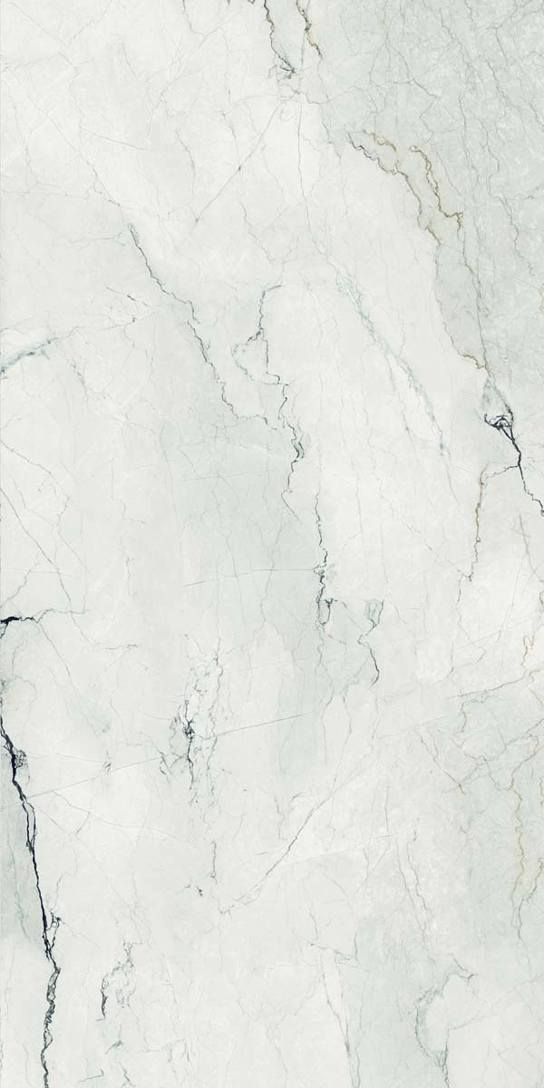 AE CAM6 12 LP 60x120