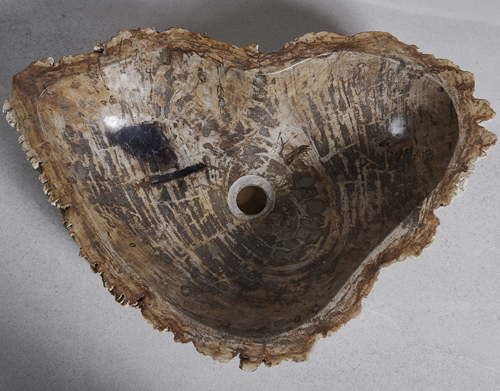 Раковина из окаменелого дерева 60х42х15