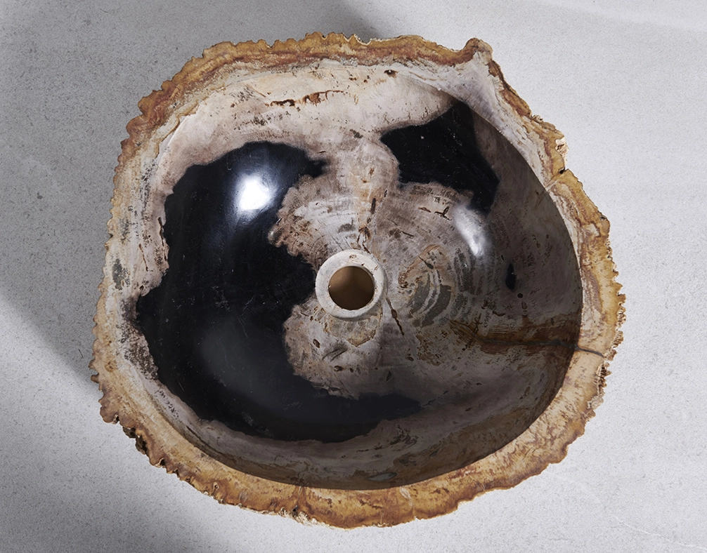 Раковина из окаменелого дерева 43х43х15