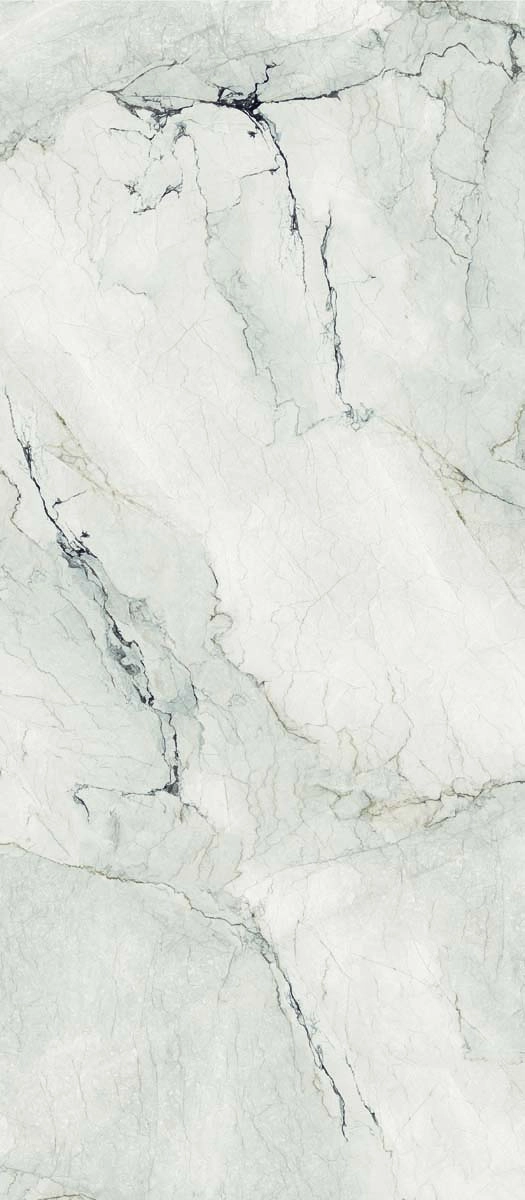 AE CAM6 278 LPM 120x278