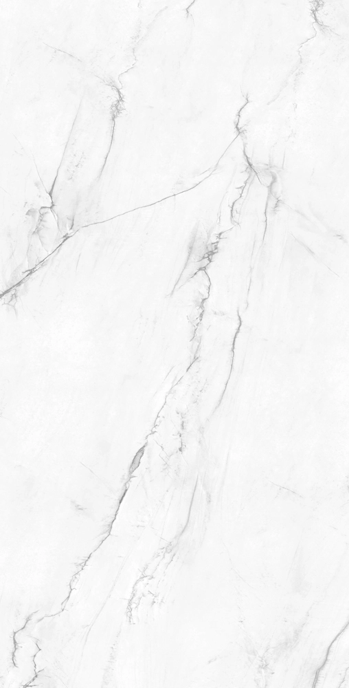 VICTORIA POLISHED 120x240