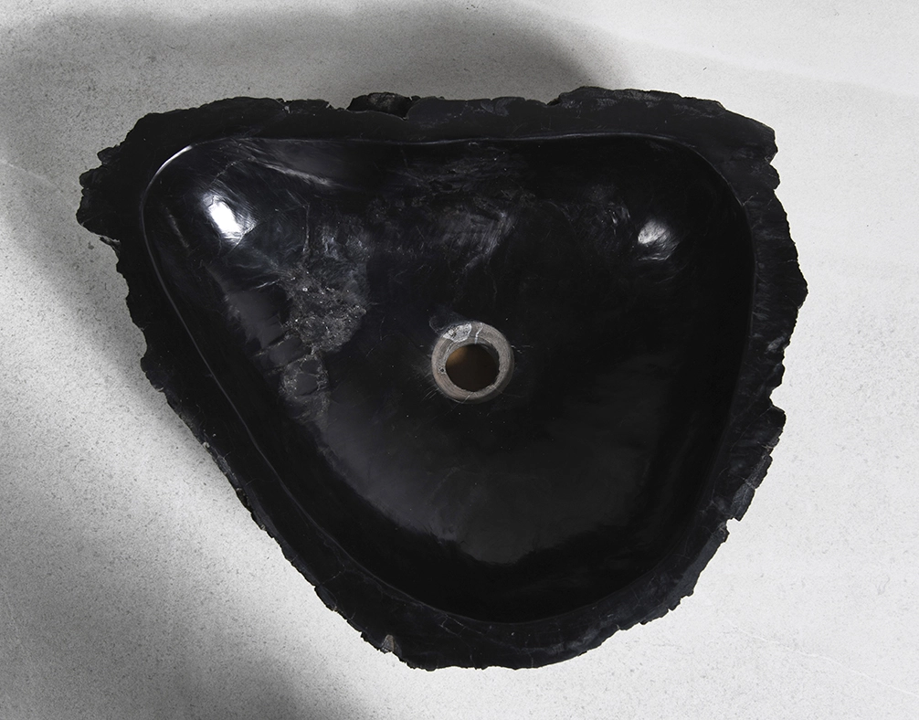 Раковина из окаменелого дерева 43х41х15