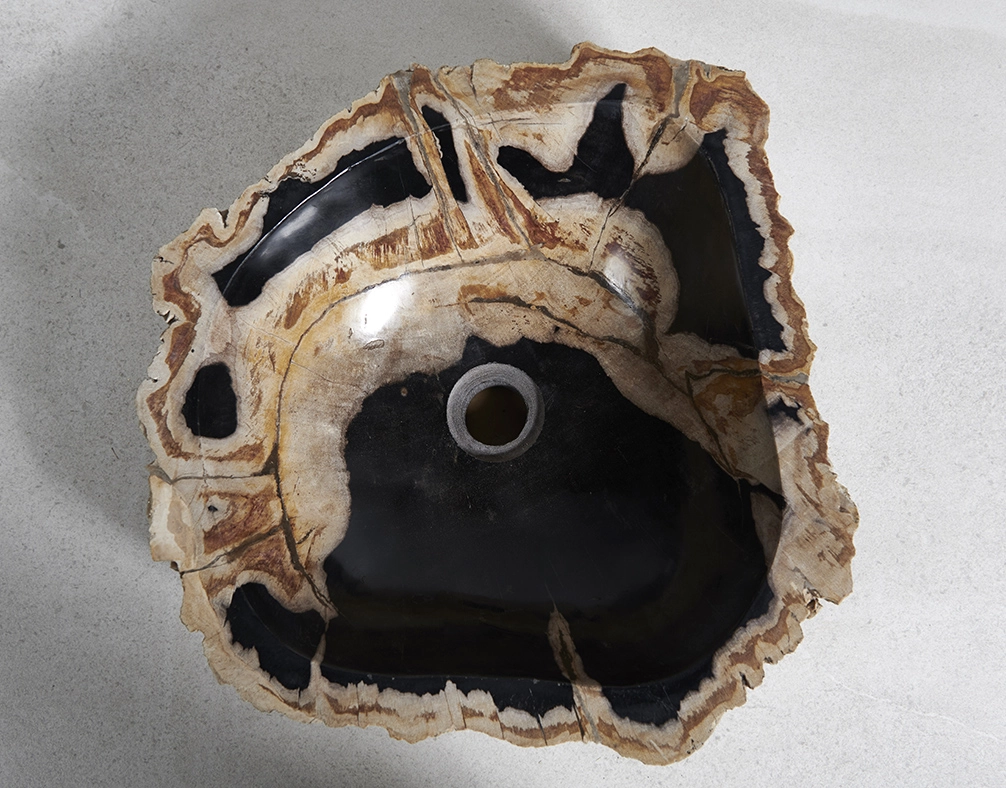 Раковина из окаменелого дерева 43х46х15