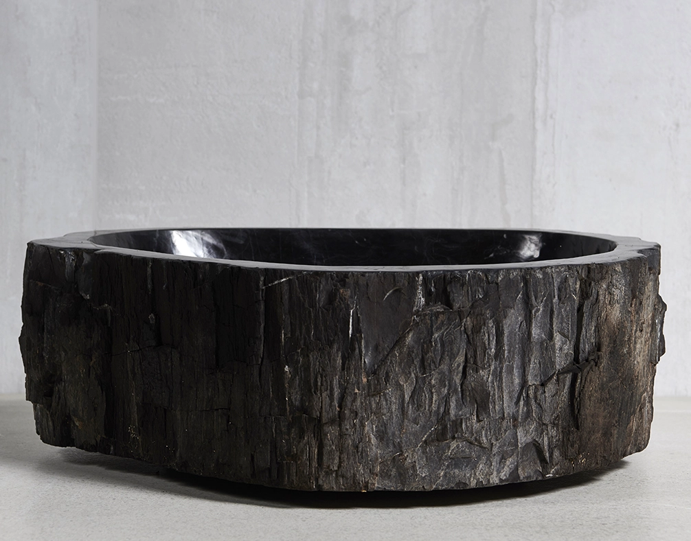 Раковина из окаменелого дерева 49х42х15
