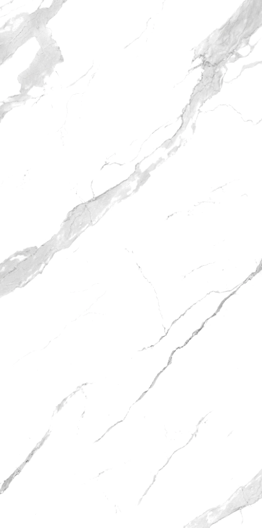 67400 Statuario 120x240