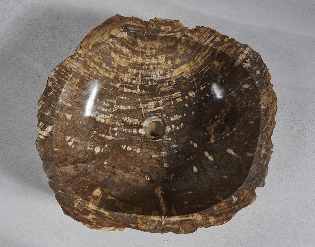 Раковина из окаменелого дерева 60х54х14