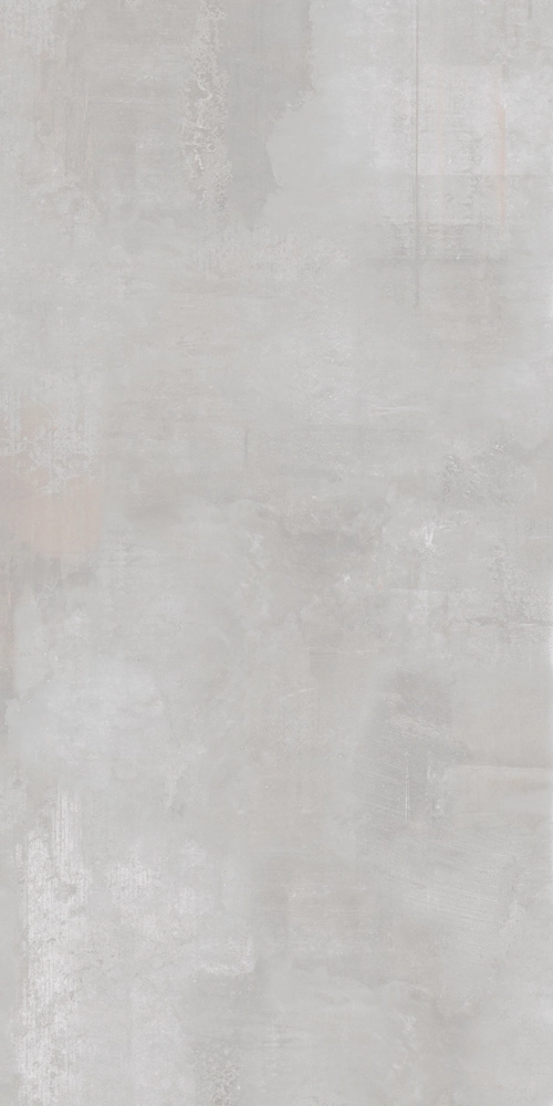 65800 Tatto Light Grey 120x300