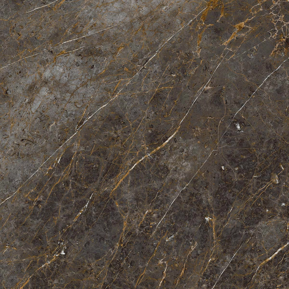 AE GOL6 120 LP 120x120