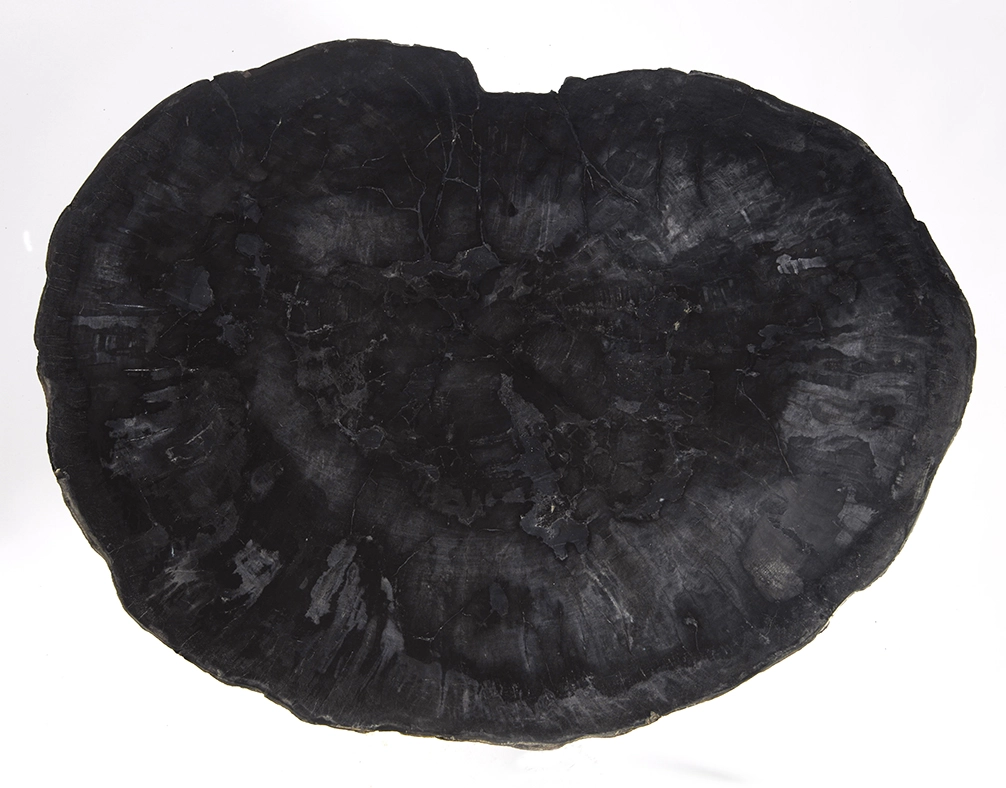 столешница для обеденного или журнального столика из окаменелого дерева 105х85х7