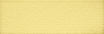 GLASS1 26Y 20x60