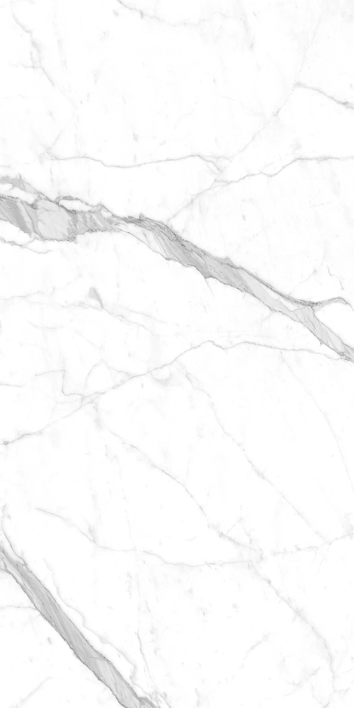 STATAURIO POLISHED 120x300