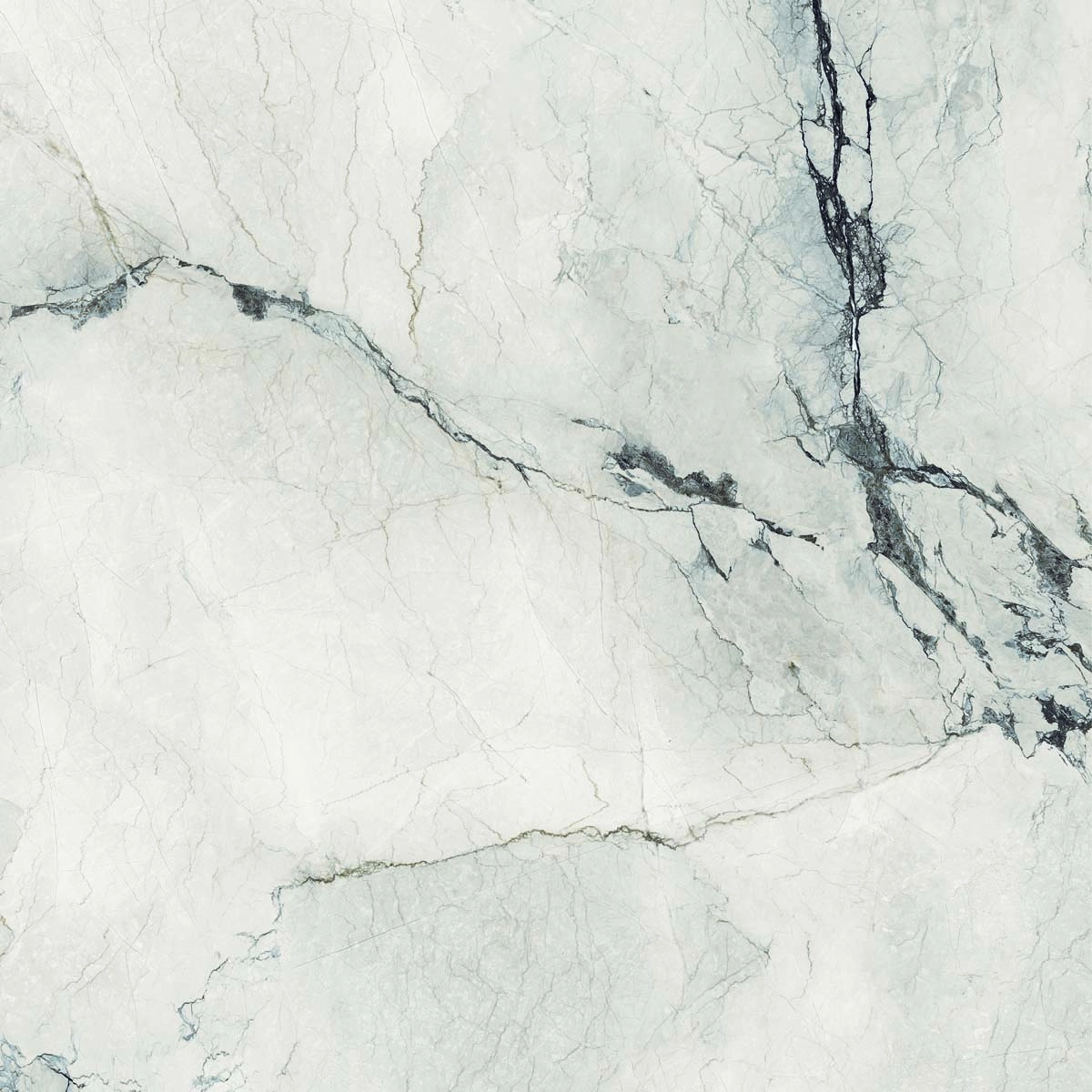 AE CAM6 120 LP 120x120