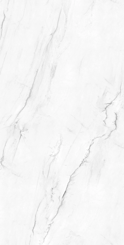 VICTORIA POLISHED 120x240