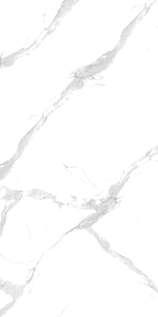 67400 Statuario 120x240