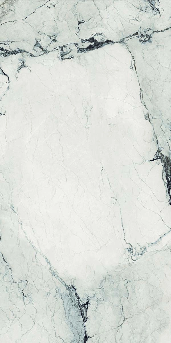 AE CAM6 12 LP 60x120