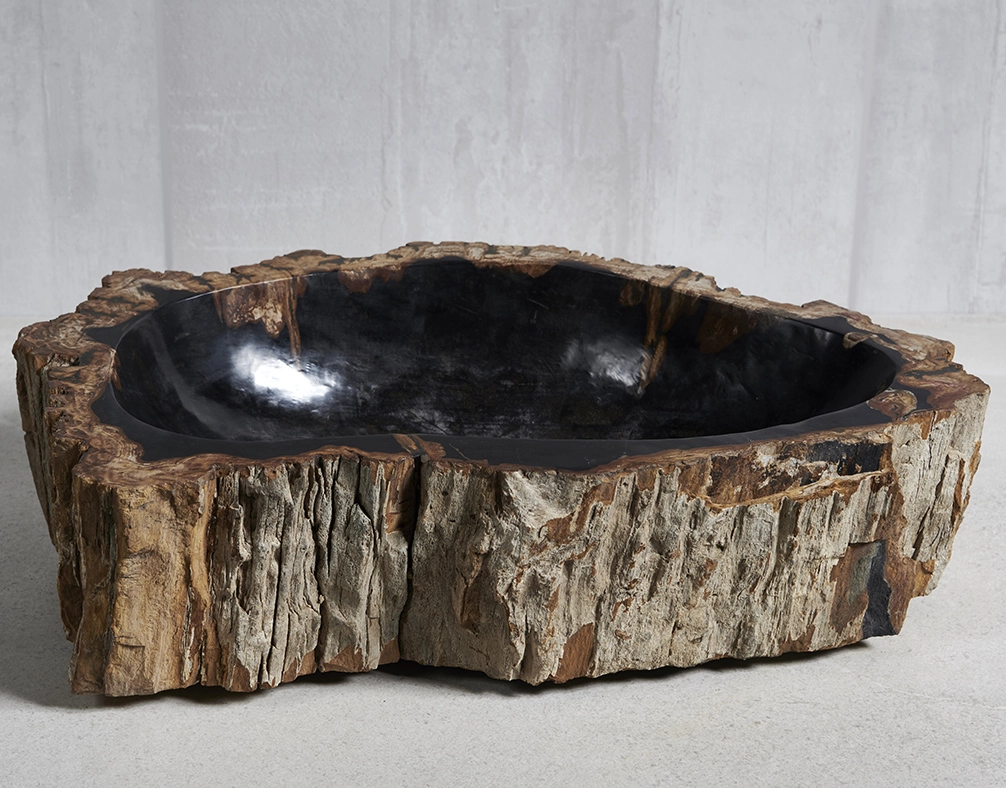 Раковина из окаменелого дерева 63х40х15