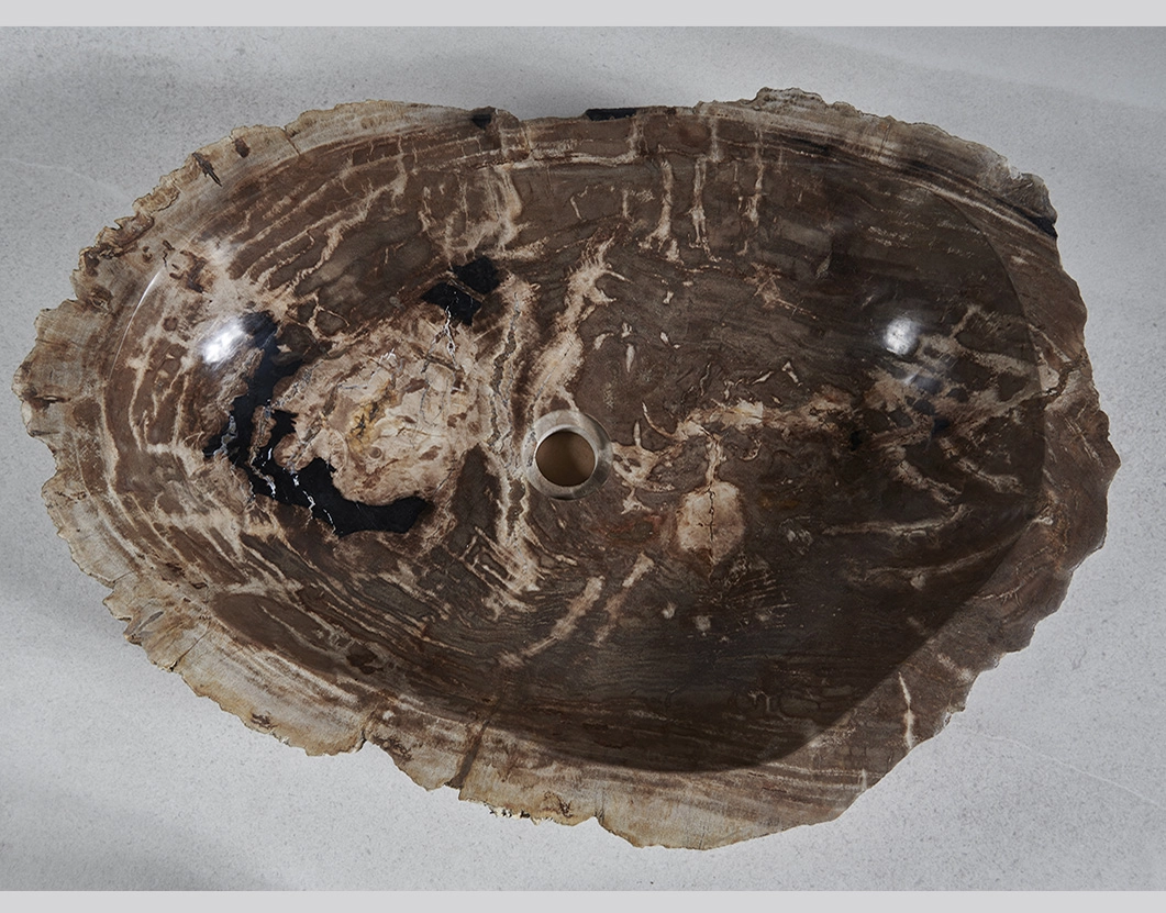 Раковина из окаменелого дерева 68x47x15