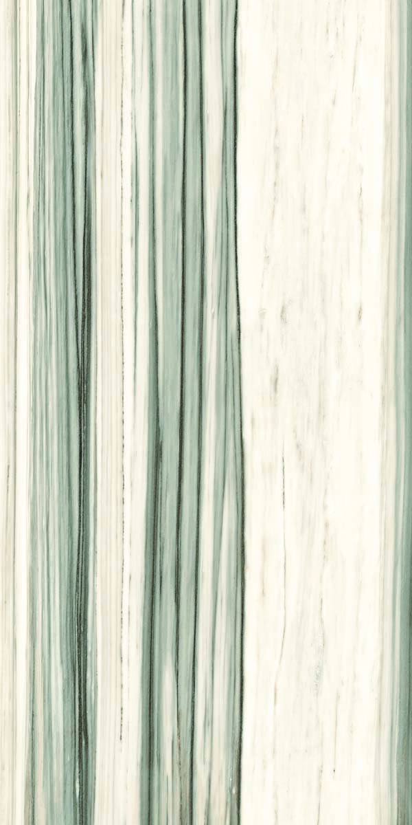 AE ZEB6 12 LP 60x120