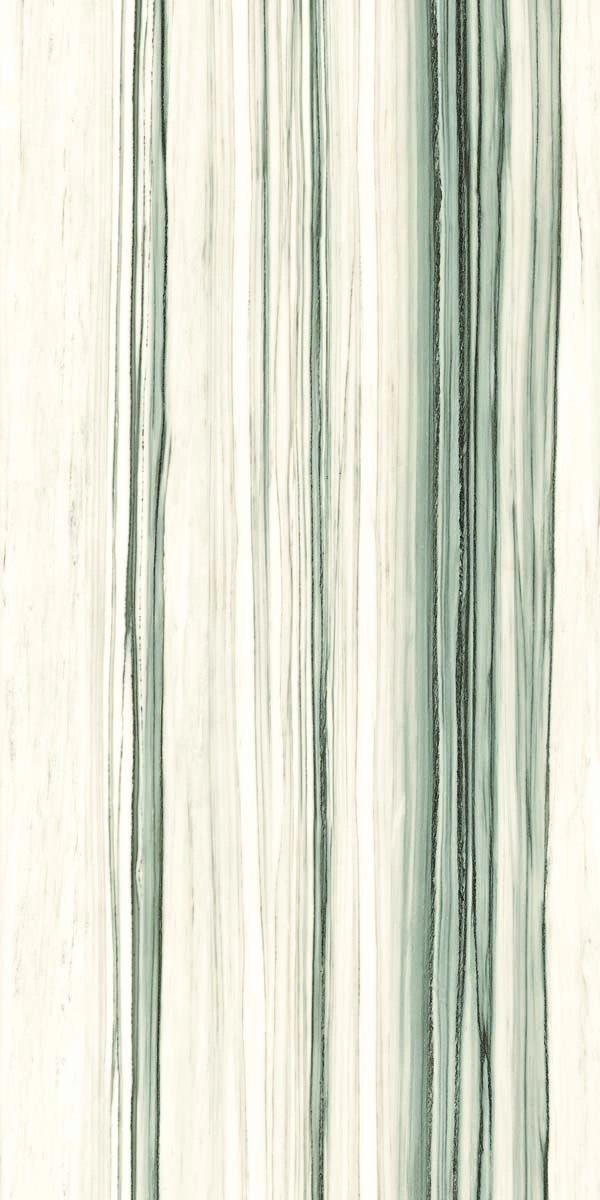 AE ZEB6 12 LP 60x120