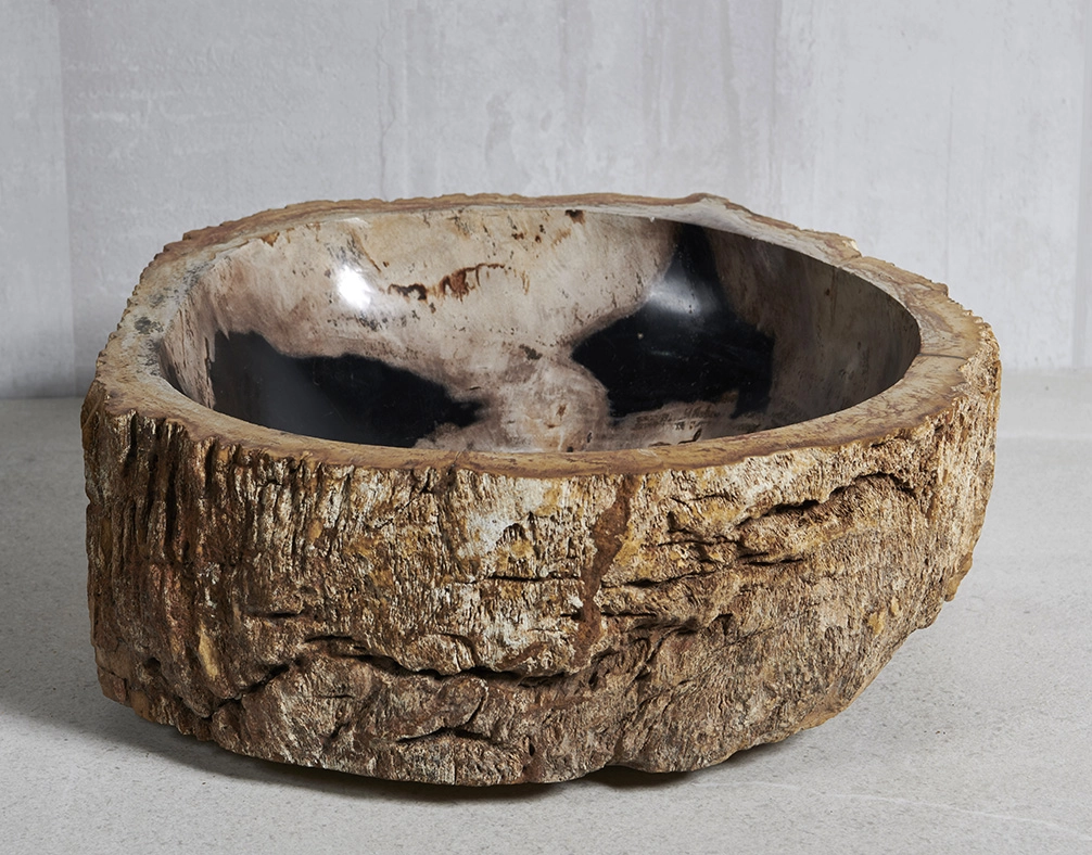 Раковина из окаменелого дерева 43х43х15