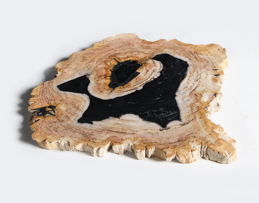 столешница для кофейного столика  из окаменелого дерева 32х35х2