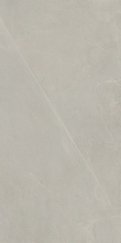 A.RCK6 12AG RM 60x120 Серебристый