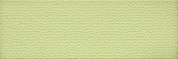 GLASS1 26V 20x60