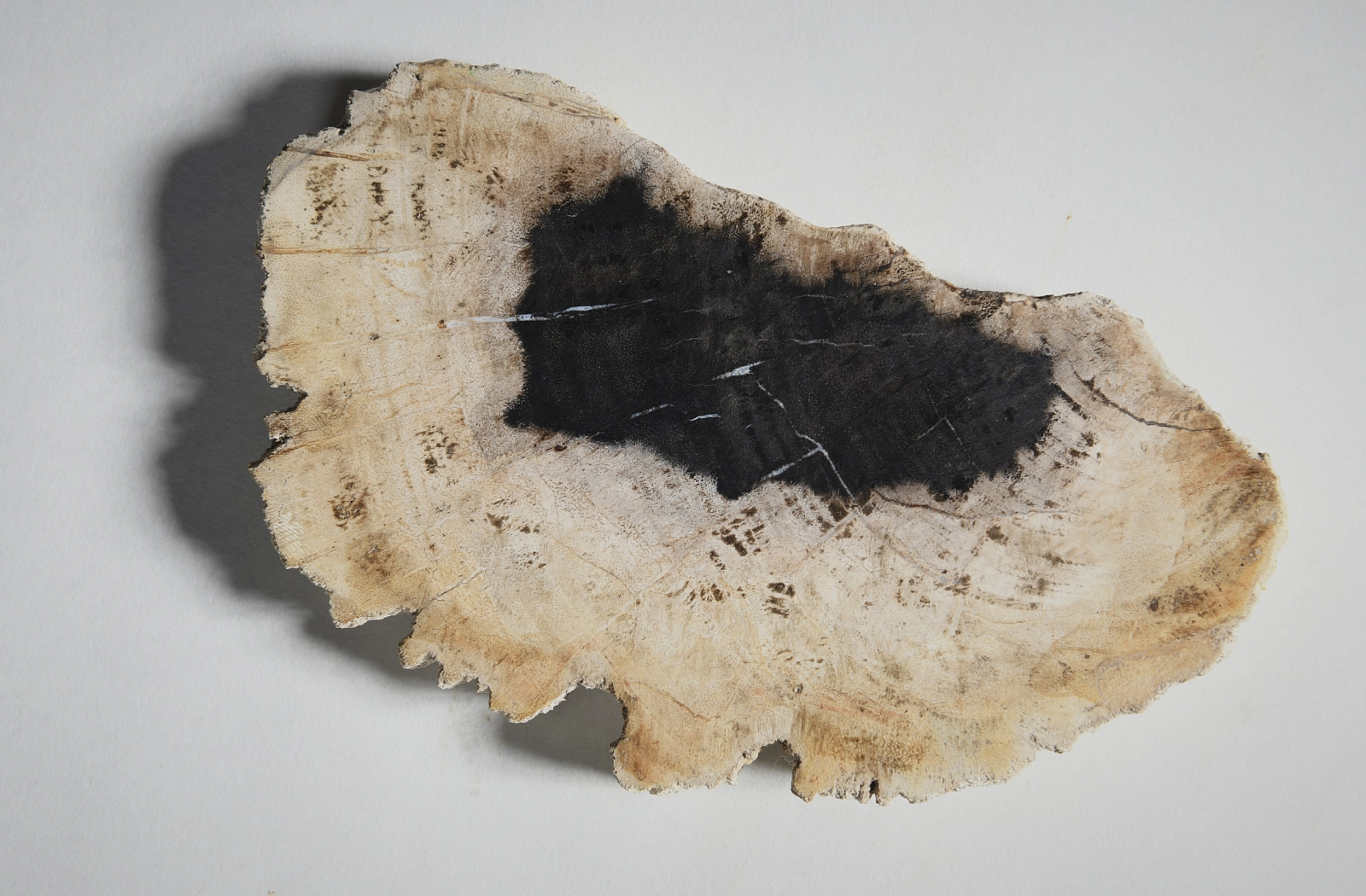 Декоративное блюдо 3P1RNS-45 17х10х2