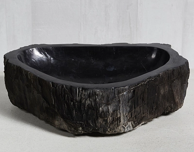 Раковина из окаменелого дерева 60х43х15