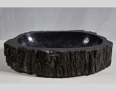 Раковина из окаменелого дерева 66x43x16