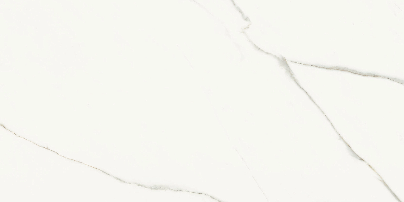 AE EXT6 12 RM 60x120