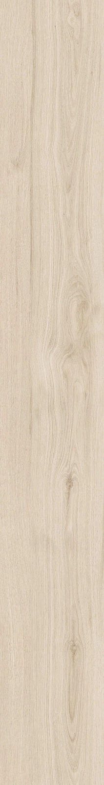 DAMA6 2015A RM 20x150