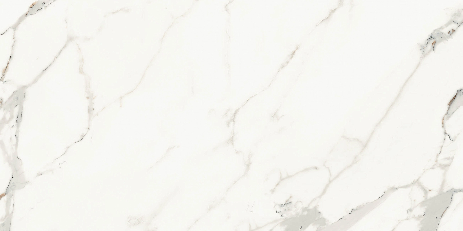 AE CAP6 12 LP 60x120