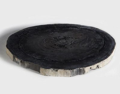 столешница для кофейного столика  из окаменелого дерева 43х39х3