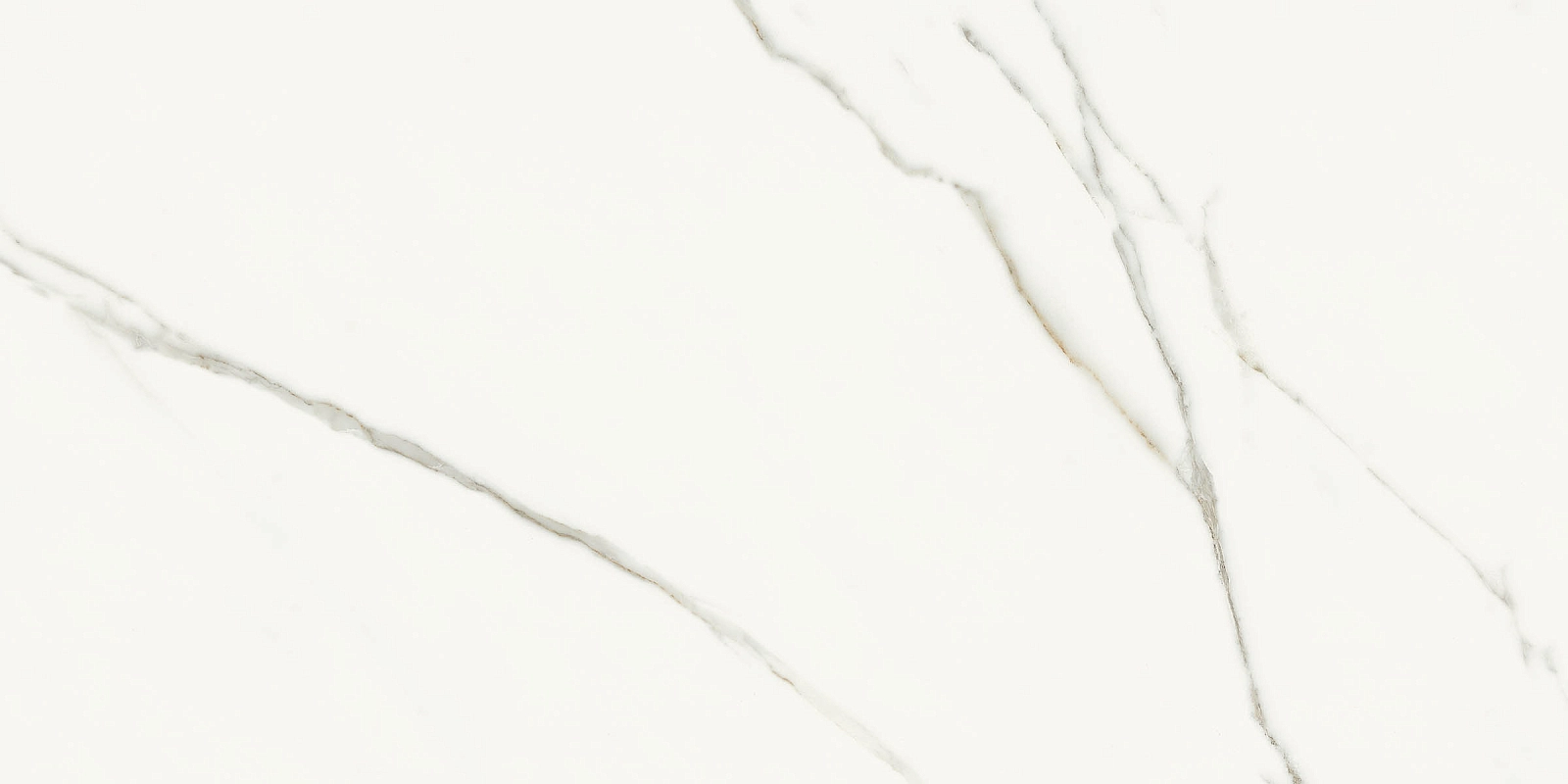 AE EXT6 12 RM 60x120