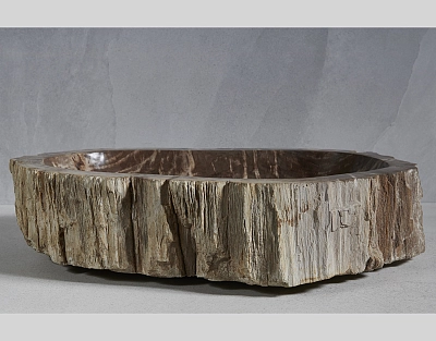 Раковина из окаменелого дерева 68x47x15
