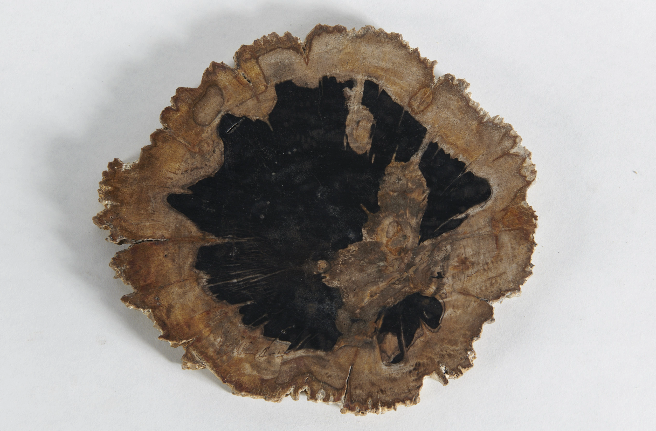 Декоративное блюдо 3P1RNM-23 23х21х2