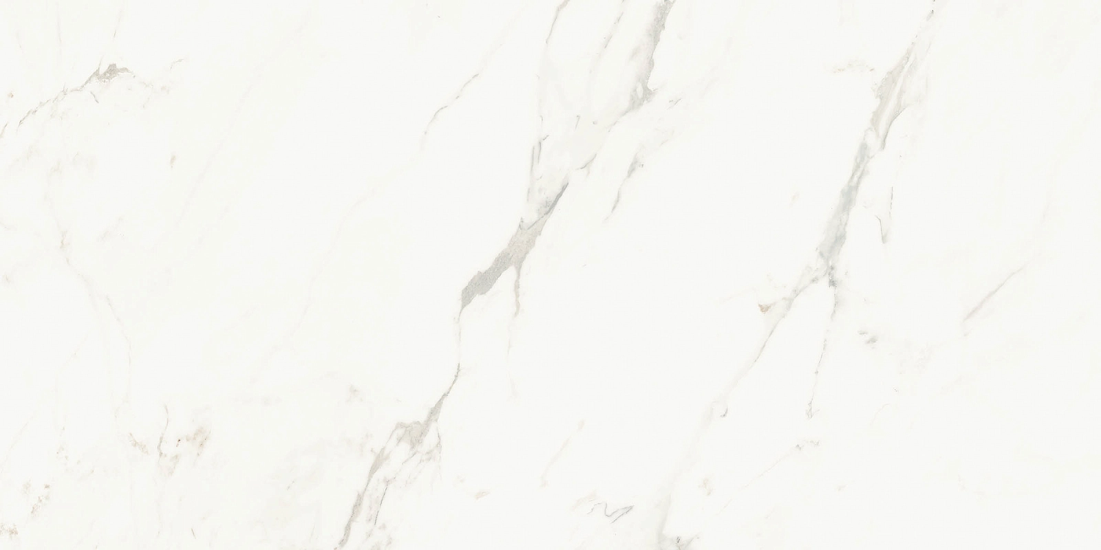 AE CAP6 12 LP 60x120