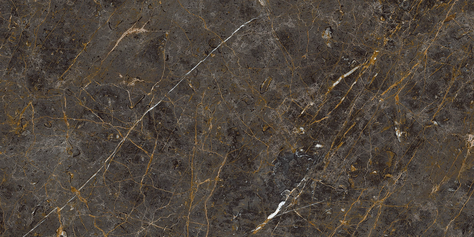 AE GOL6 12 LP 60x120