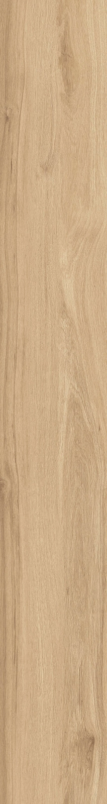 DAMA6 2015HY RM 20x150