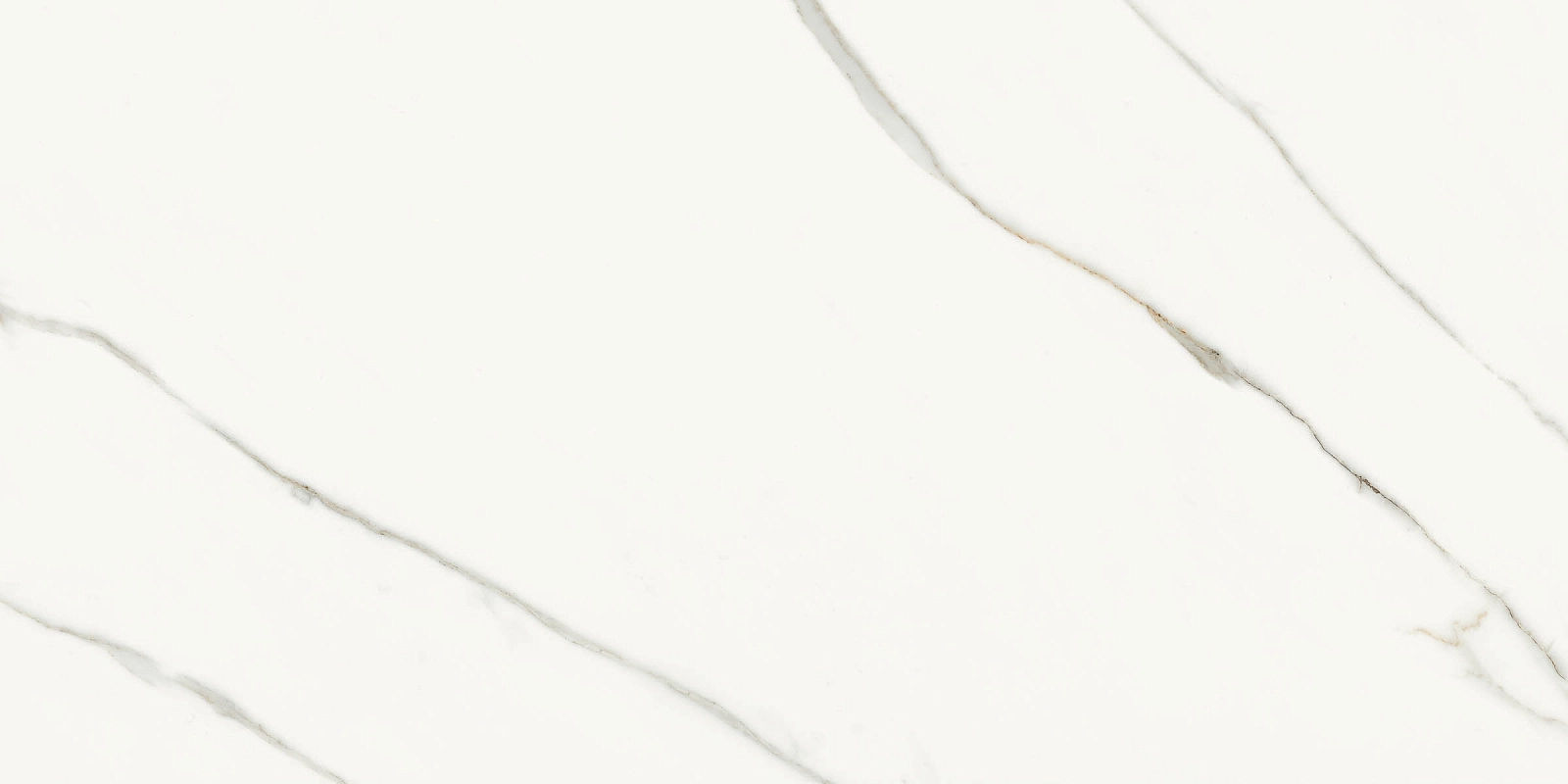 AE EXT6 12 RM 60x120