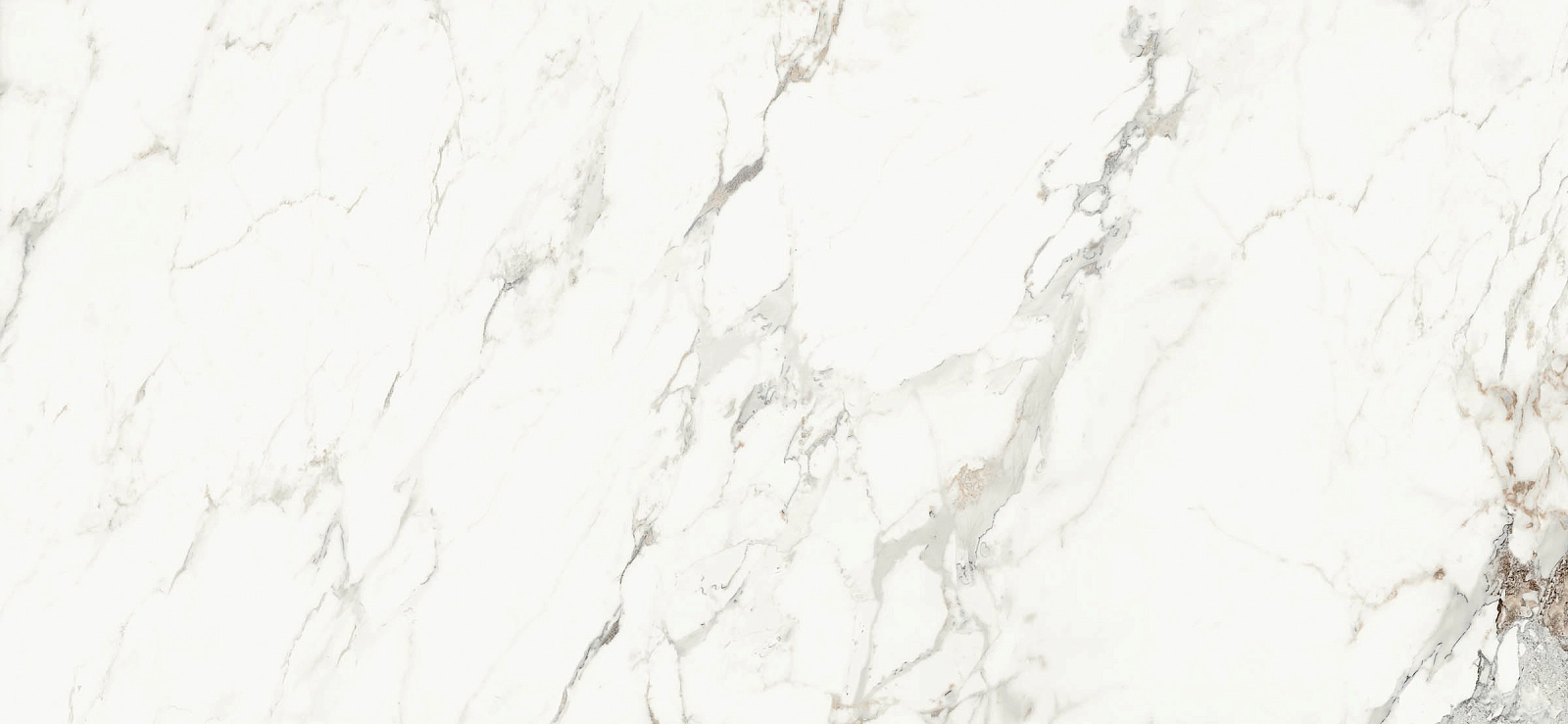 AE CAP6 260 LP 120x260